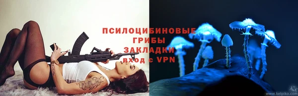 винт Бронницы