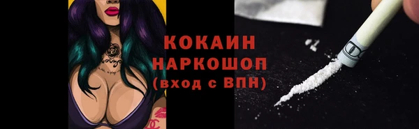винт Бронницы