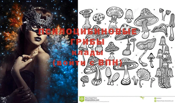 винт Бронницы