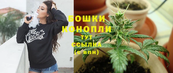 винт Бронницы